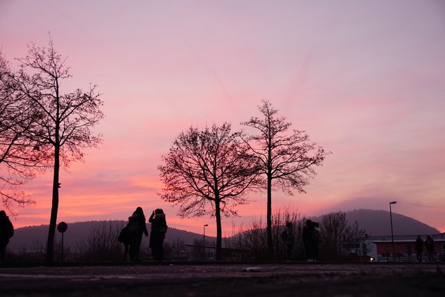 Auf dem Weg zur Schule. Gesehen in Erlenbach am Main. 