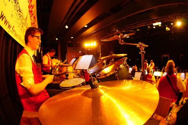 In Aktion. Fränkische Rebläuse in Bürgstadt. 