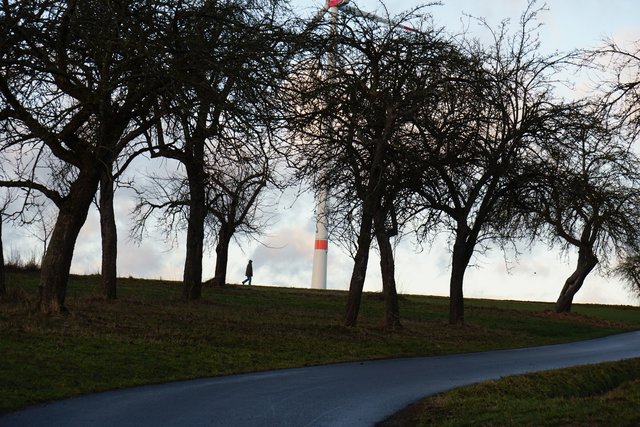 Fußgänger unterwegs im Odenwald bei Eichenbühl-Heppdiel.