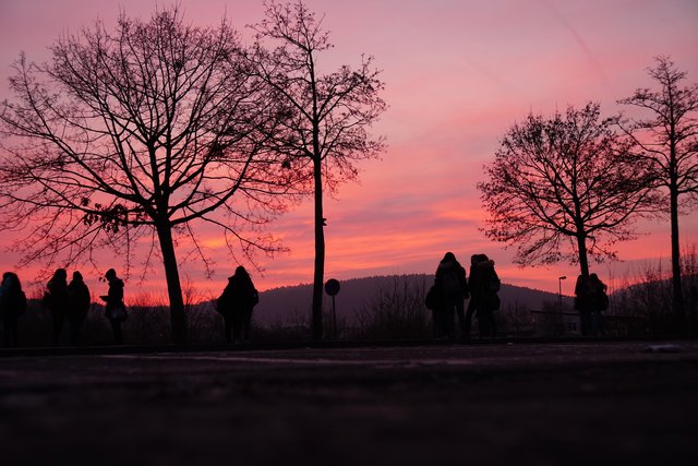 Von wegen Schüler-Streik! Früher Februar-Morgen in Erlenbach am Main mit Schülerinnen und Schüler auf dem Weg zu ihren Schulen bei minus vier Grad. 