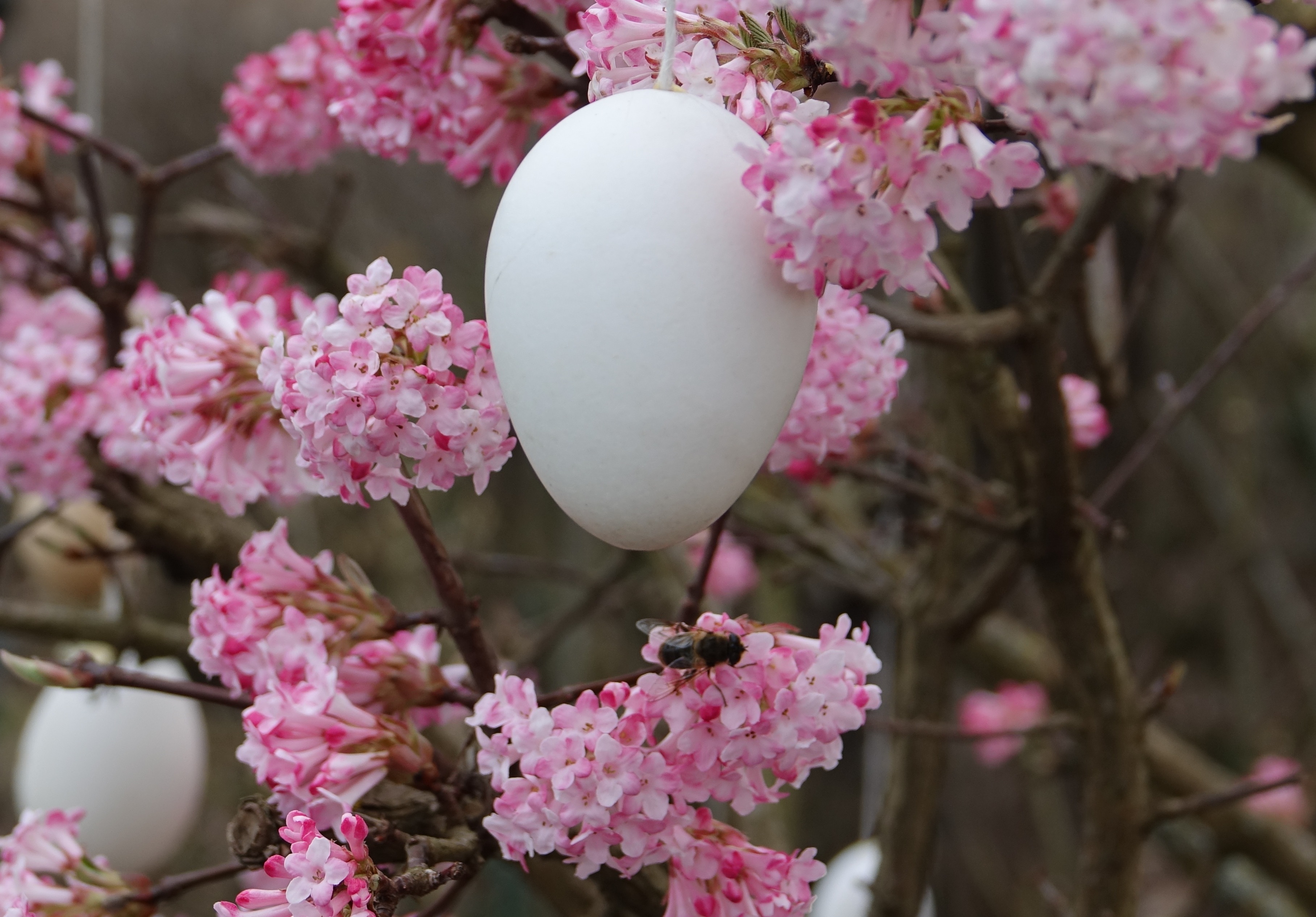 Ostern kommt - das ist gewiss. Doch zuvor ist erst der Frühling dran! Natürliches und Symbolträchtiges lassen sich im zauberhaften Parkhof-Gelände entdecken - ein Geheimttipp für Naturliebhaber, Spaziergänger und Romantiker, unweit von Miltenberg und Kleinheubach.