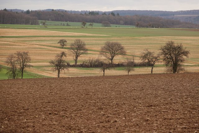 Nach Polizeiberichten kam ein ein 55-Jähriger Forstwirt am Freitag, dem 8. März 2019, in einem Waldgebiet im Eichenbühler Ortsteil Heppdiel im Landkreis Miltenberg ums Leben.