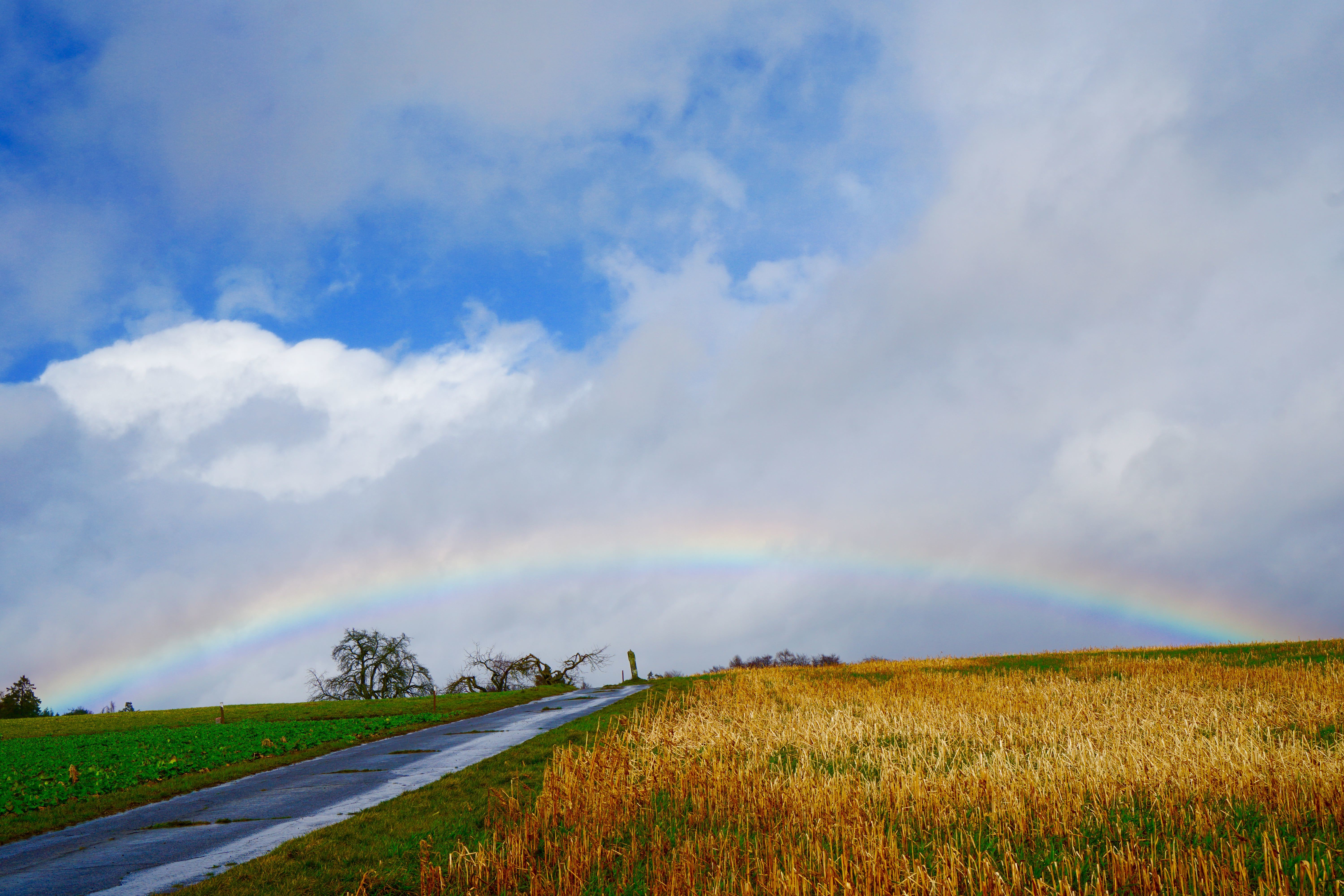 Mal Regen, mal Sonne - stets recht stürmisch und zwischendurch ein Regenbogen. Gesehen am Sonntagmittag bei Miltenbereg-Berndiel.
Die deutschen Wetterexperten verweisen darauf, dass es am Sonntag sehr ungemütlich werden soll: Eine Gefahr besteht insbesondere in den Wäldern und Parkanlagen, wo einzelne Äste herabstürzen können.
Außerdem soll der Sonntag sehr regnerisch sein. Grund ist eine neue, heranziehende Regenfront. Außerdem sind zum Teil auch kräftige Gewitter in Bayern zu erwarten - betonen die Meteorologen.