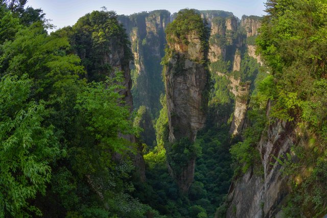 Sandsteinpfeiler nahe der Stadt Zhangjiajie | Foto: Andreas Pröve