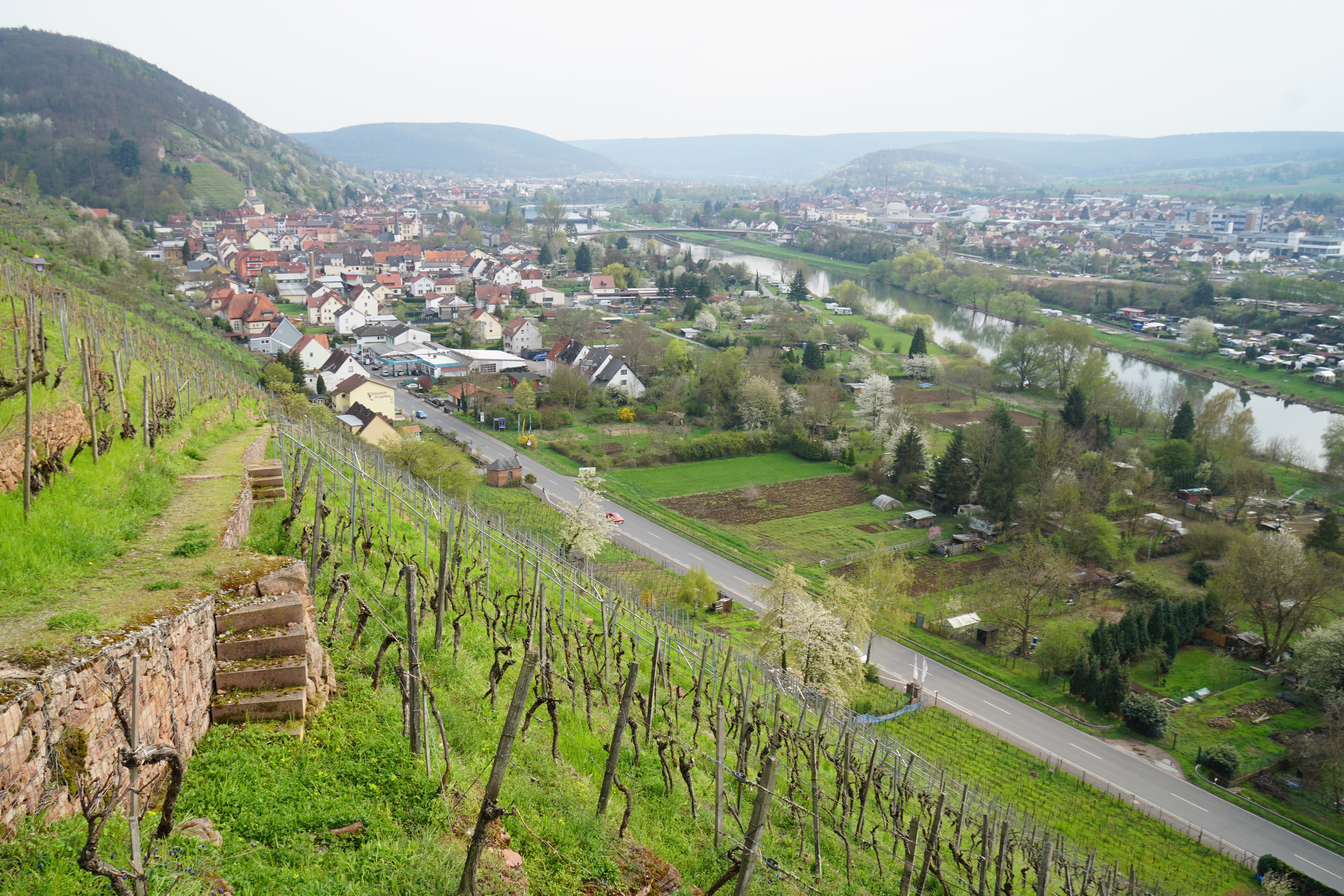 Blick ins Maintal zwischen Klingenberg (Bild) und Erlenbach im April 2019