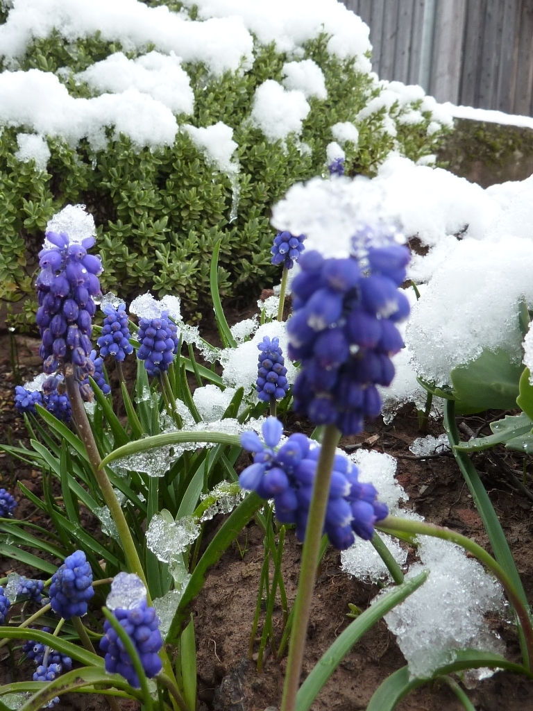 Wintereinbruch in Wenschdorf an Palmsonntag, 14. April 2019