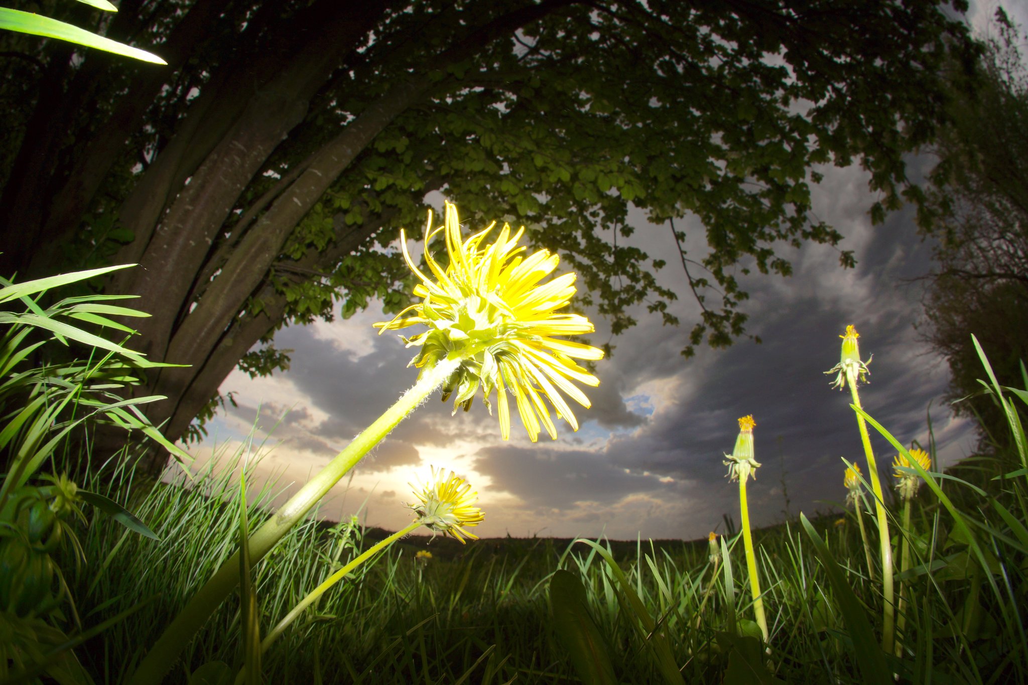 Sonne Sturm Stromausfall Der April Macht Was Er Will Miltenberg