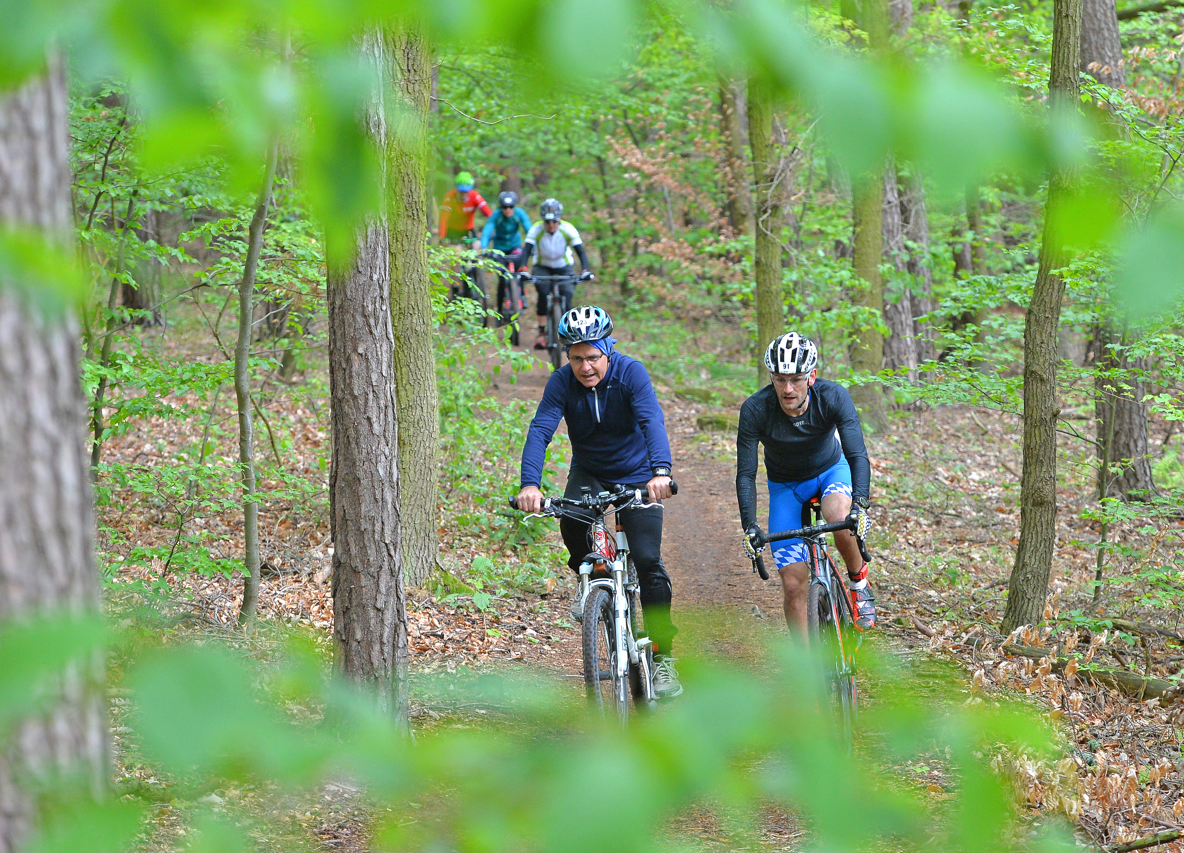 Auf feuchten, aber gut befahrbaren Strecken führte die Radstrecke beim Main-Duathlon durch den Wald rund um den Engelberg.
