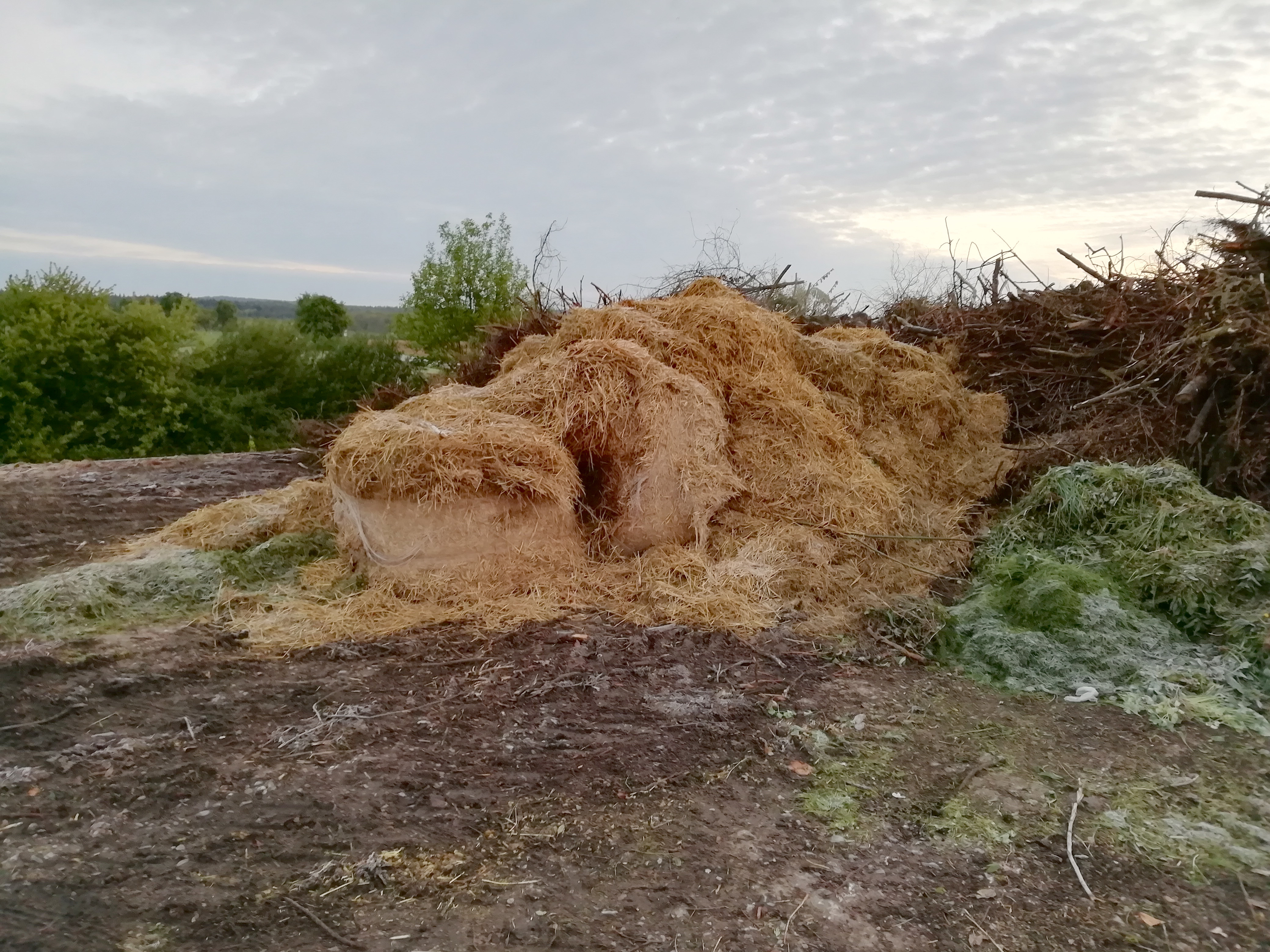 Abfälle aus der Landwirtschaft wie z. B. Stroh und Stalleinstreu dürfen nicht auf Grüngutplätze. Foto: KWiN