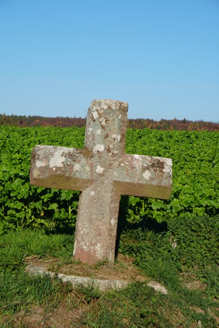 Stein- und Sühnekreuze gibt es bei uns vereinzelt noch. Sie erzählen von Not und Schrecken vergangener Jahrhunderte, auch aus der Zeit des Dreißigjährigen Krieges. Dieses seltene Flurdenkmal steht zwischen Windischbuchen und Heppdiel in der Gemeinde Eichenbühl im Bayerischen Odenwald.Foto Roland Schönmüller