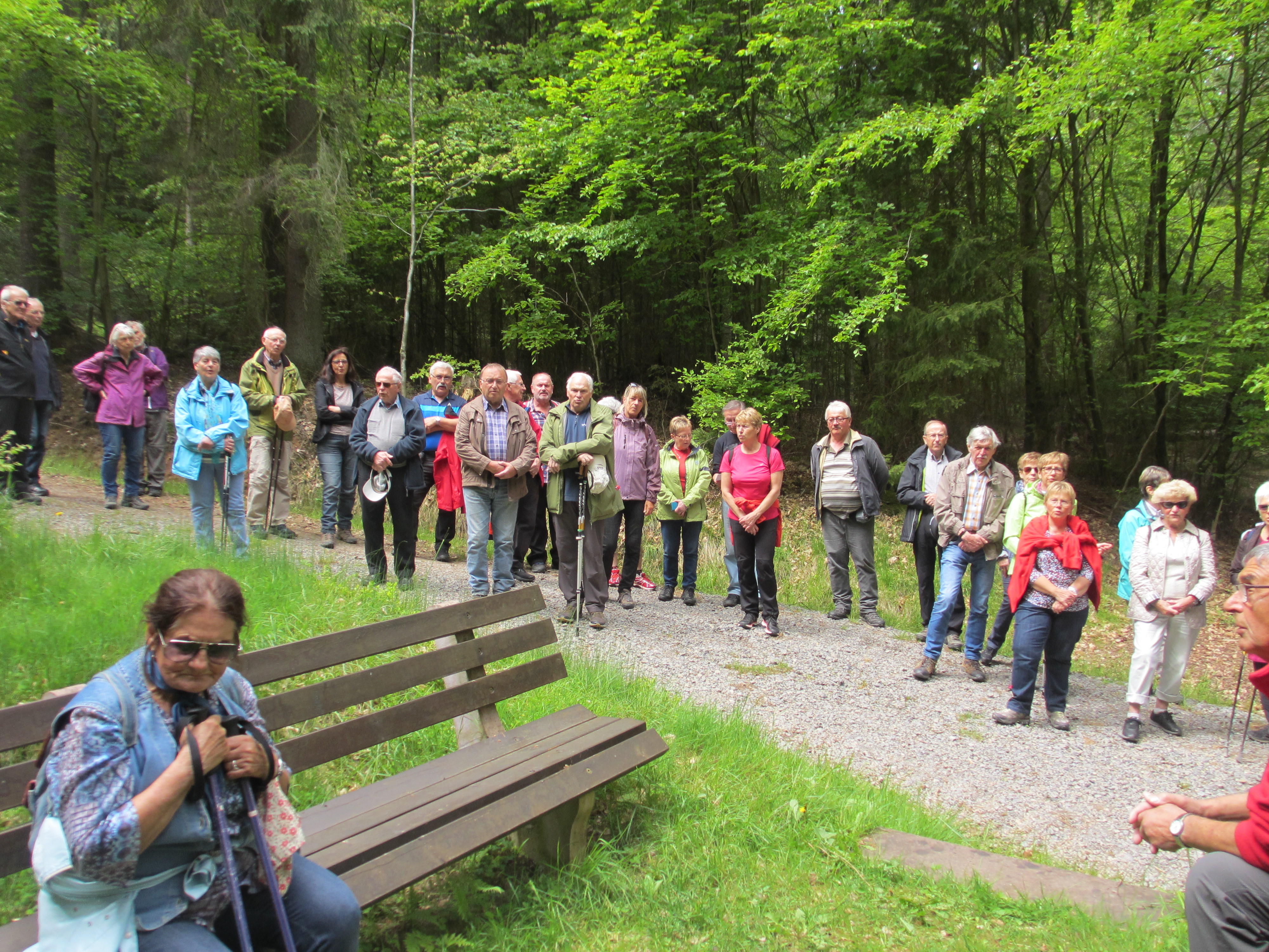 Am Hohen Kreuz im Kinzbachgrund