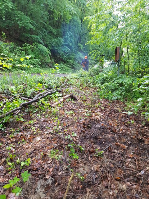 Alte Landsteige in Eichenbühl vorher | Foto: Arno Neuberger