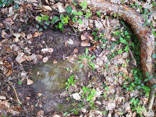 Alte Landsteige in Eichenbühl vorher | Foto: Arno Neuberger