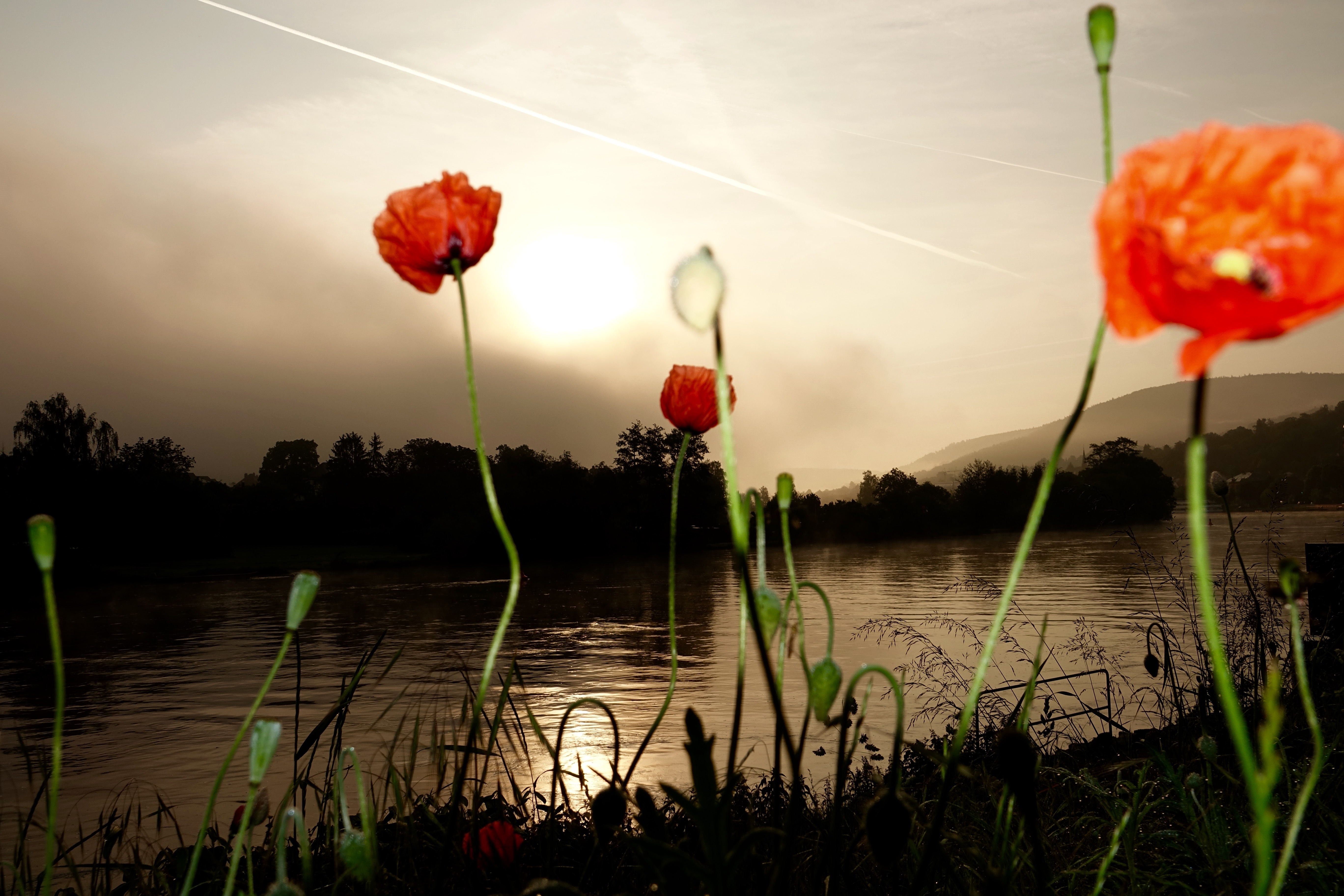 Magischer Morgen in Miltenberg am 23.05.2019 gegen 6.45 Uhr.