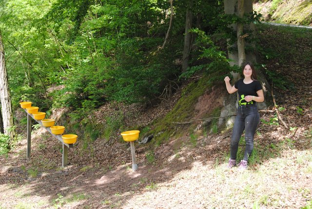 Foto: Andrea Kaller-Fichtmüller