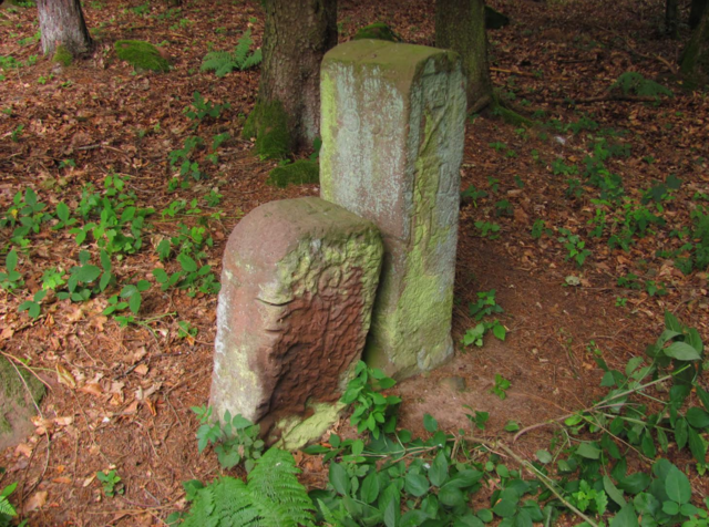 Die hessisch/bayrische Landegrenze wird zwischen dem Hesselbacher Torhaus und der ehemaligen Wildschweinfütterung von zahlreichen Grenzsteinen der Abtei Amorbach Landesgrenzsteinen begleitet.