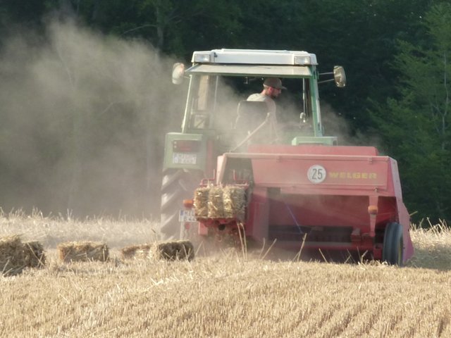 WENSCHDORF FILMREIF - Strohballen für das Freiluft- und Bulldog-Kino am 17. August 2019