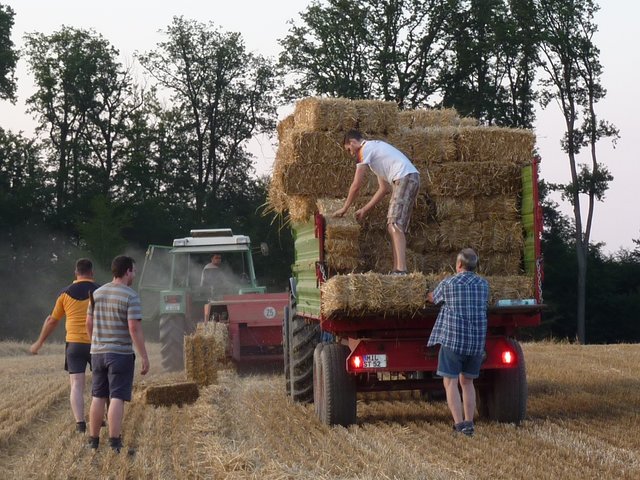 WENSCHDORF FILMREIF - Strohballen für das Freiluft- und Bulldog-Kino am 17. August 2019