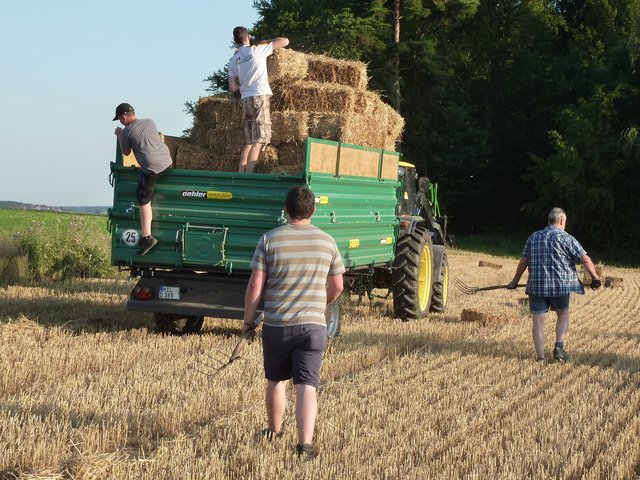 WENSCHDORF FILMREIF - Strohballen für das Freiluft- und Bulldog-Kino am 17. August 2019