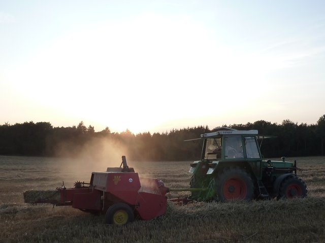 WENSCHDORF FILMREIF - Strohballen für das Freiluft- und Bulldog-Kino am 17. August 2019