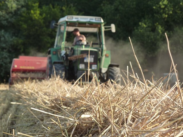 WENSCHDORF FILMREIF - Strohballen für das Freiluft- und Bulldog-Kino am 17. August 2019