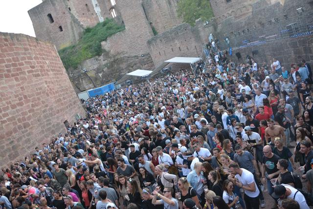 Foto: Alexander Franz