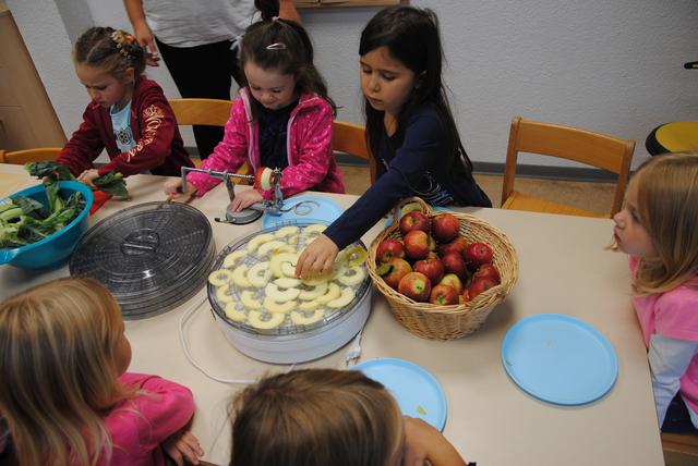 Aus Äpfeln stellen die Kinder des Leidersbacher Kindergartens im Dörrautomaten Apfelchips her. | Foto: Andrea Kaller-Fichtmüller