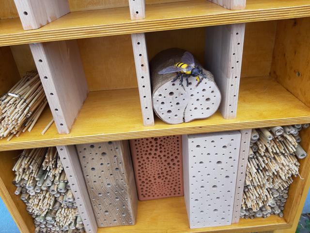 5-Sterne Hotel für Wildbienen aus Bambus- und Schilfröhrchen, gebohrten Holzblöcken und einem Bienenstein aus Ton als Nisthilfe.