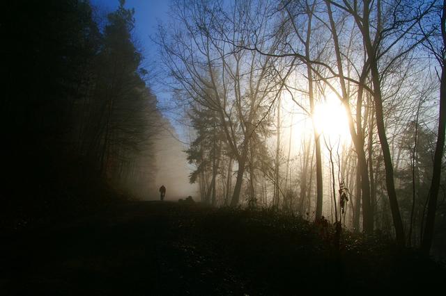 Unterwegs am frühen Morgen. 