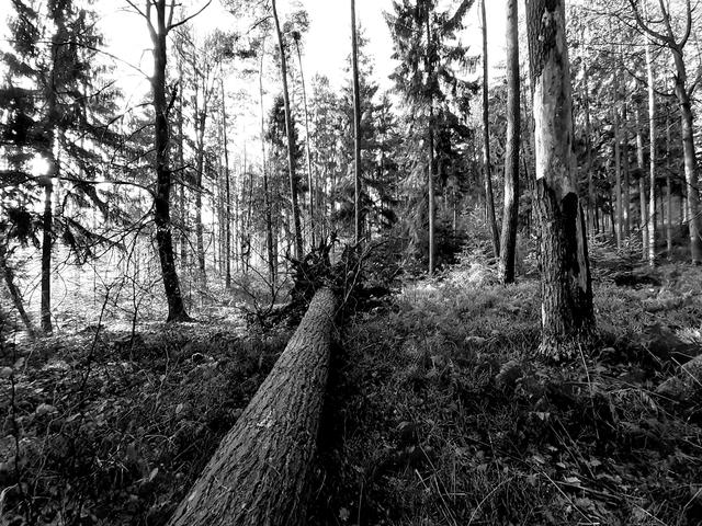 Die Natur schätzen und schützen lernen, damit sie uns noch lange erhalten bleibt.