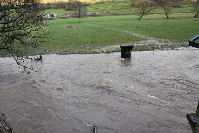 Foto: Andrea Kaller-Fichtmüller