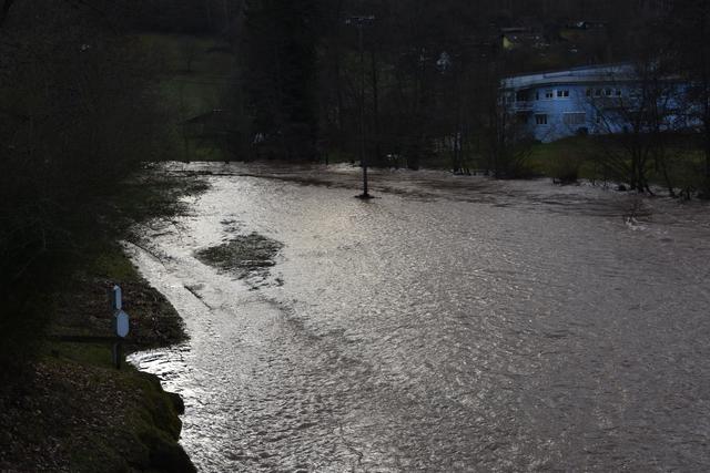 Foto: Andrea Kaller-Fichtmüller