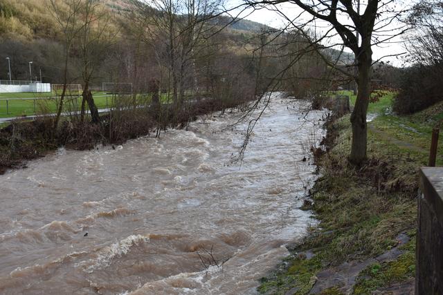 Foto: Andrea Kaller-Fichtmüller