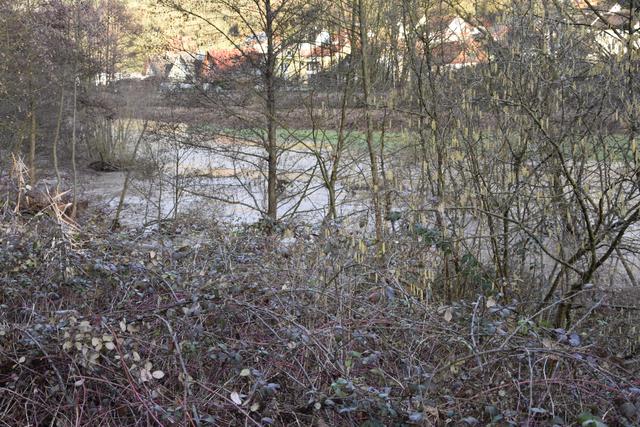 Foto: Andrea Kaller-Fichtmüller