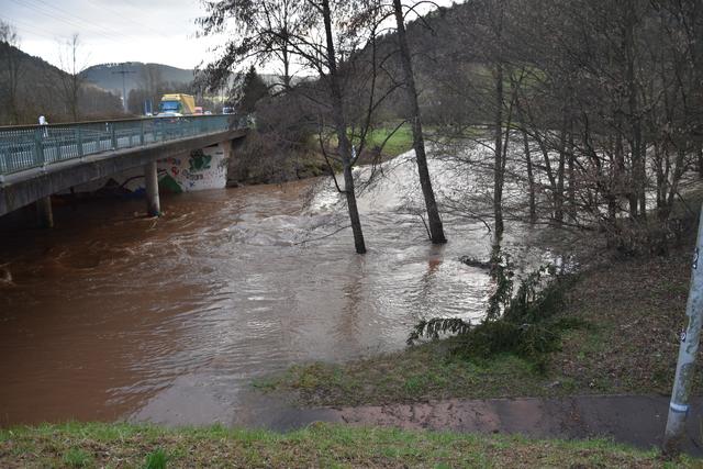 Foto: Andrea Kaller-Fichtmüller