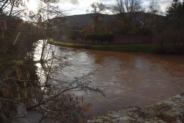 Foto: Andrea Kaller-Fichtmüller