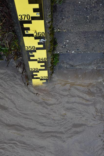 Foto: Andrea Kaller-Fichtmüller