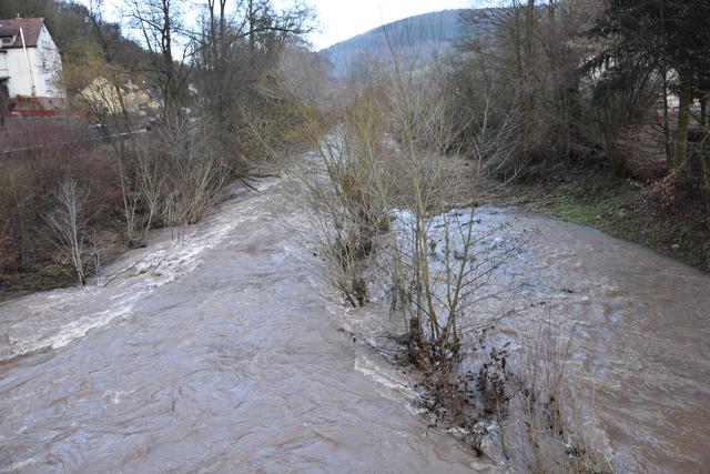 Foto: Andrea Kaller-Fichtmüller
