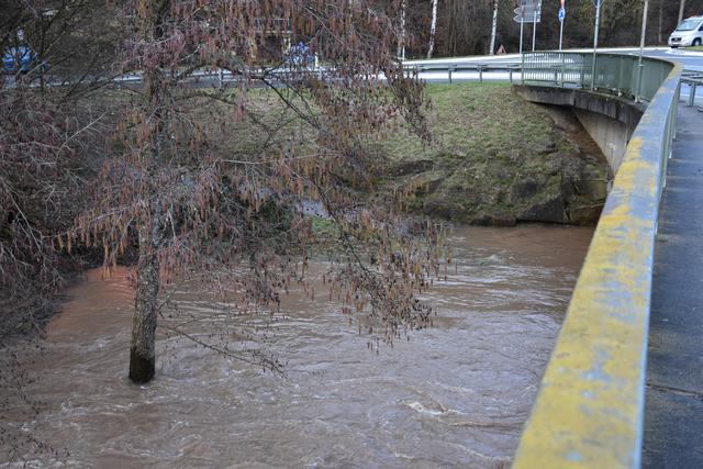 Foto: Andrea Kaller-Fichtmüller