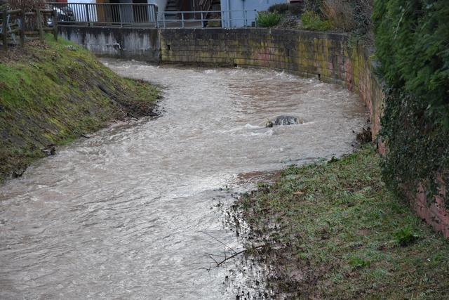 Foto: Andrea Kaller-Fichtmüller