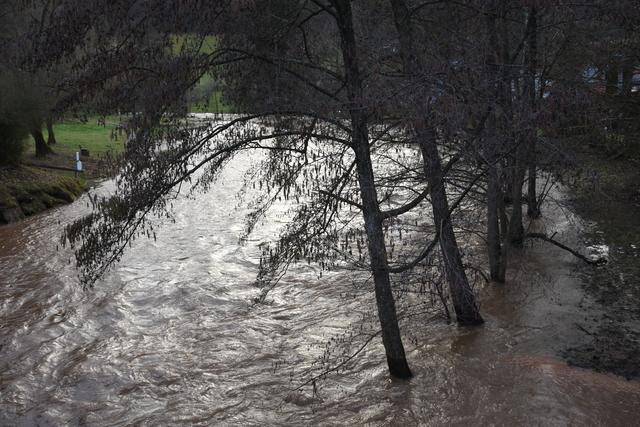 Foto: Andrea Kaller-Fichtmüller