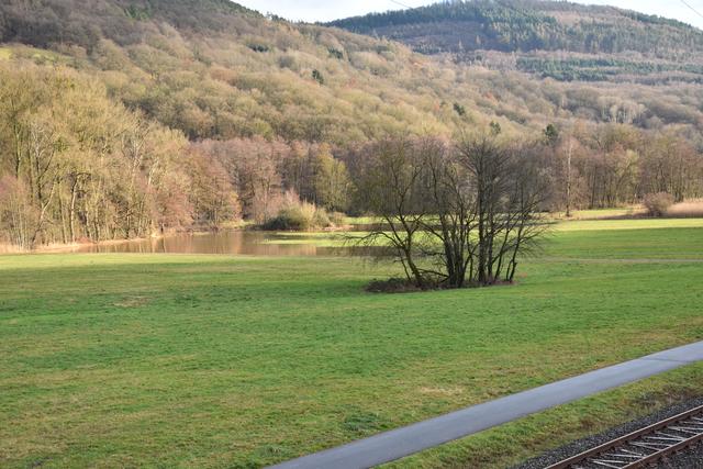 Foto: Andrea Kaller-Fichtmüller