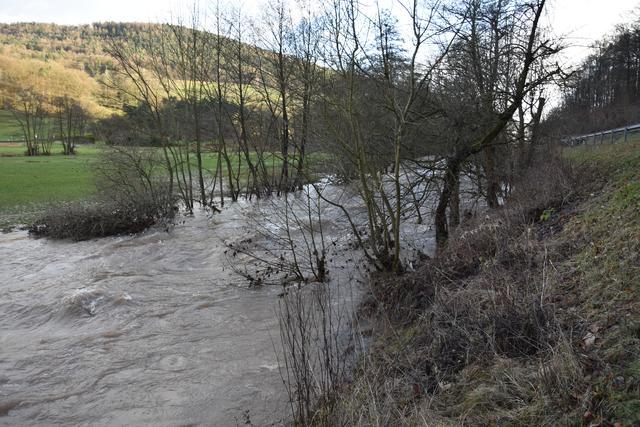 Foto: Andrea Kaller-Fichtmüller