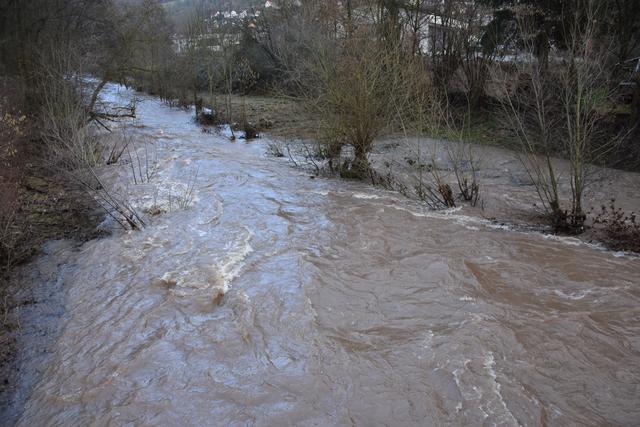 Foto: Andrea Kaller-Fichtmüller