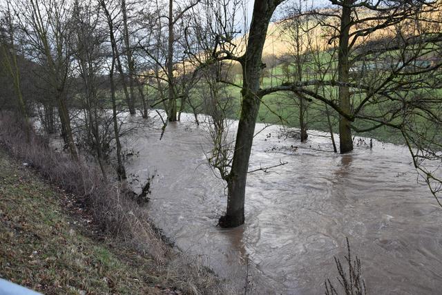 Foto: Andrea Kaller-Fichtmüller