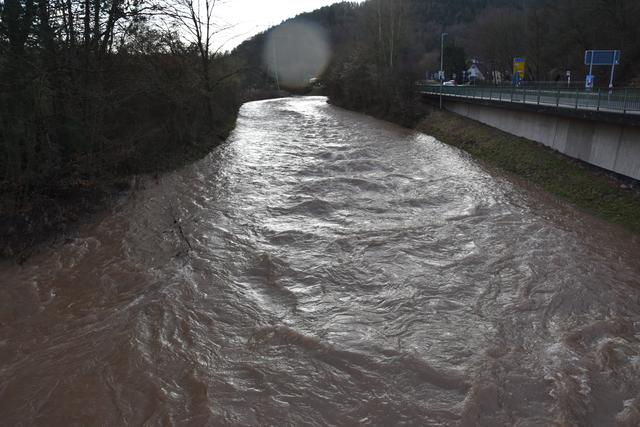 Foto: Andrea Kaller-Fichtmüller