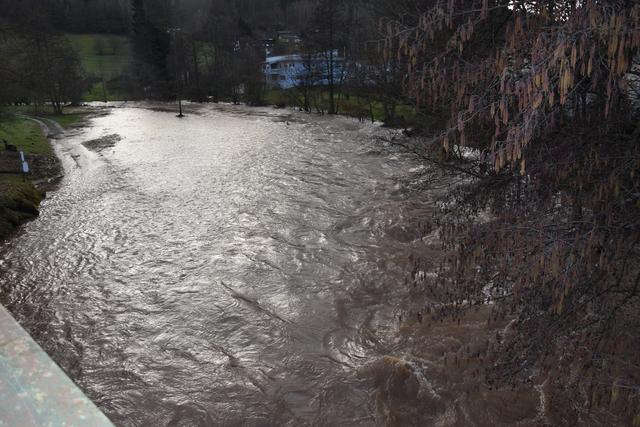 Foto: Andrea Kaller-Fichtmüller