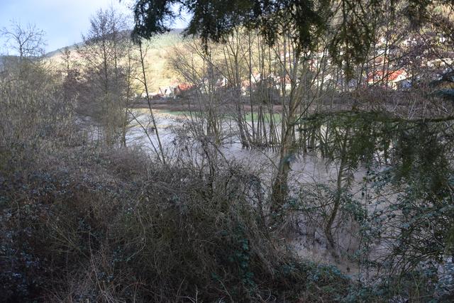 Foto: Andrea Kaller-Fichtmüller