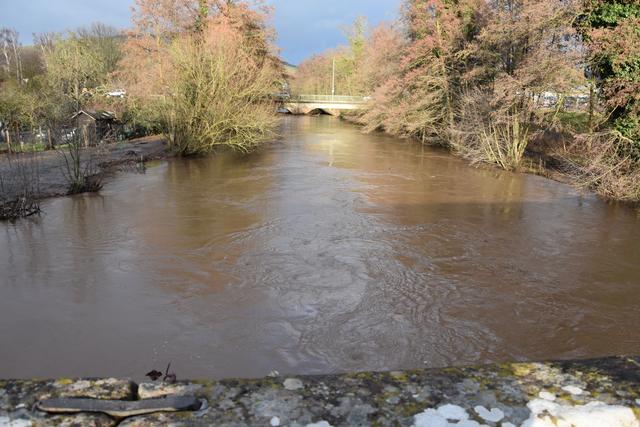 Foto: Andrea Kaller-Fichtmüller