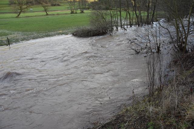 Foto: Andrea Kaller-Fichtmüller